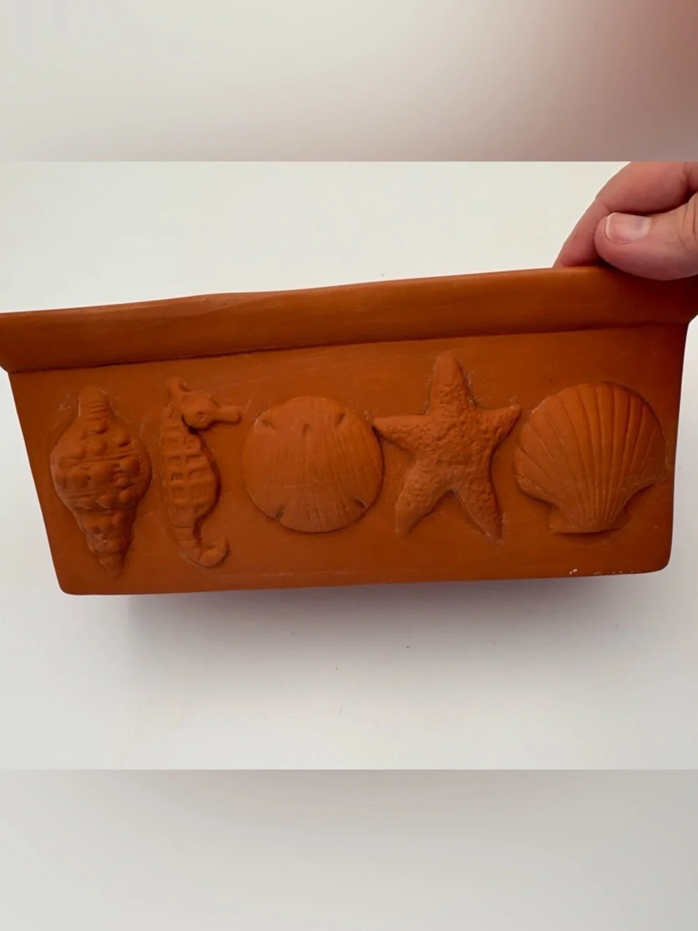 Terracotta Beach/Shell Motif Planter Tray - Sea Life Relief -Rectangular